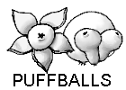 puffballs